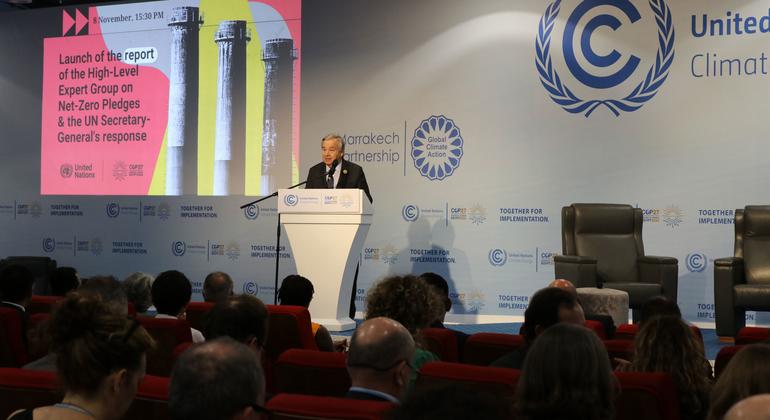 COP27: ‘Zero tolerance for greenwashing’, Guterres says as new report cracks down on empty net-zero pledges